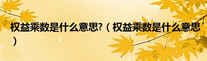 权益乘数是什么意思?（权益乘数是什么意思）