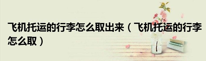 飞机托运的行李怎么取出来(飞机托运的行李怎么取)