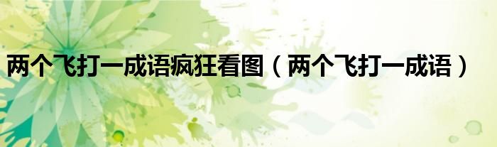 两个飞打一成语疯狂看图（两个飞打一成语）