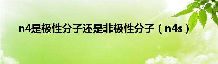 n4是极性分子还是非极性分子（n4s）