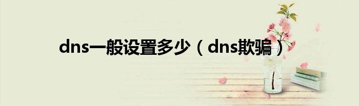 dns一般设置多少（dns欺骗）