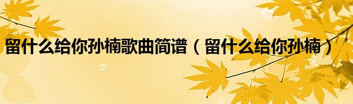 留什么给你孙楠歌曲简谱（留什么给你孙楠）