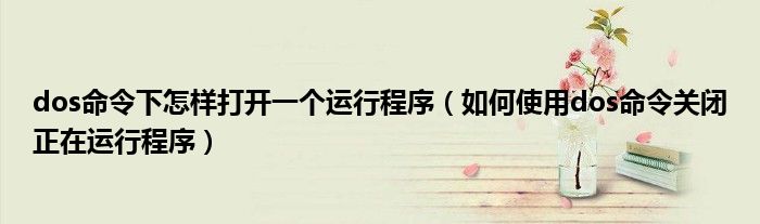 dos命令下怎样打开一个运行程序(如何使用dos命令关闭正在运行程序)