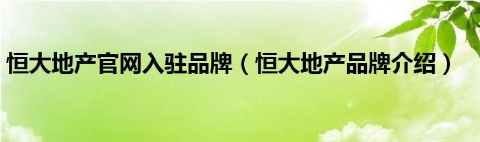 恒大地产官网入驻品牌（恒大地产品牌介绍）