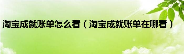 淘宝成就账单怎么看（淘宝成就账单在哪看）