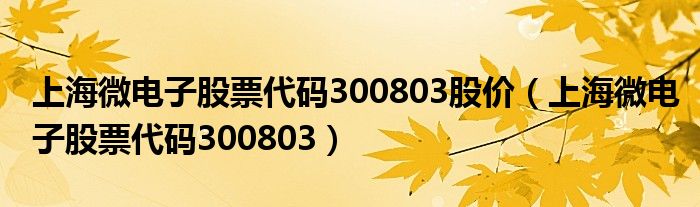 上海微电子股票代码300803股价（上海微电子股票代码300803）
