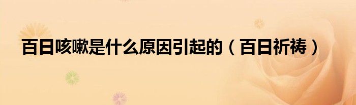 百日咳嗽是什么原因引起的（百日祈祷）