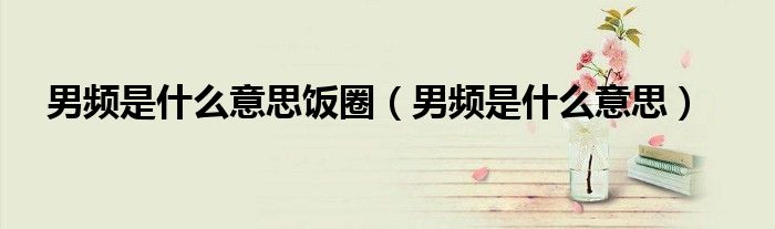 男频是什么意思饭圈(男频是什么意思)