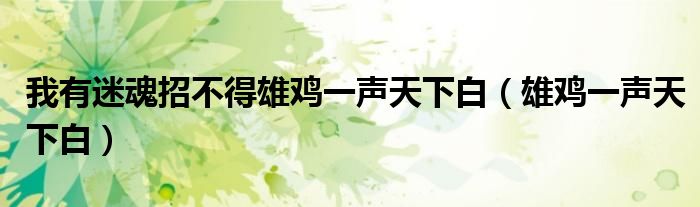 我有迷魂招不得雄鸡一声天下白（雄鸡一声天下白）