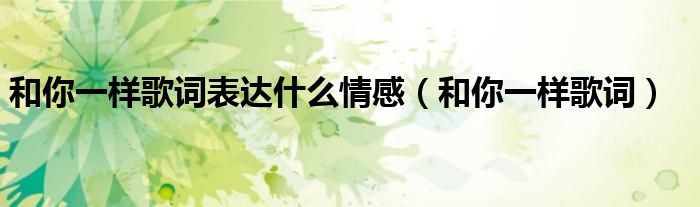 和你一样歌词表达什么情感（和你一样歌词）