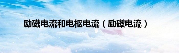 励磁电流和电枢电流（励磁电流）
