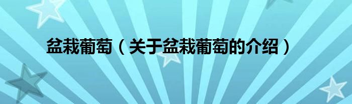 盆栽葡萄（关于盆栽葡萄的介绍）