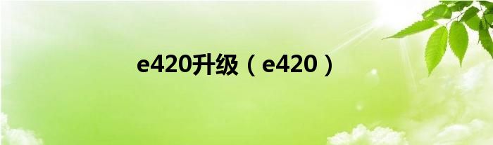 e420升级(e420)