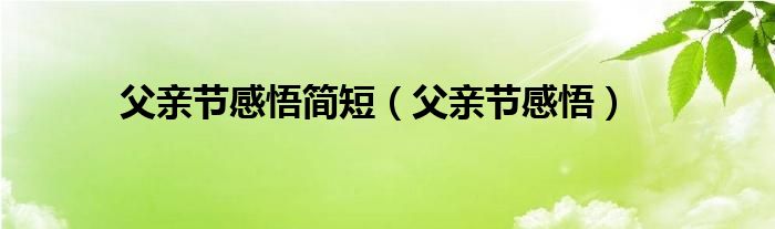 父亲节感悟简短（父亲节感悟）